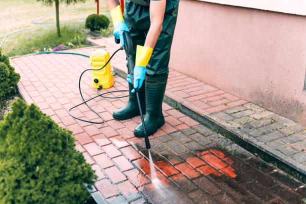 Animal Enclosure Cleaning in Chino Hills, CA